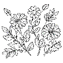 Blumen-Malvorlage-Ausmalbild-Windows-Color-288.jpg