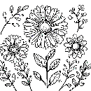Blumen-Malvorlage-Ausmalbild-Windows-Color-454.jpg