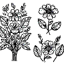 Blumen-Malvorlage-Ausmalbild-Windows-Color-474.jpg
