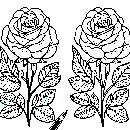 Blumen-Rosen-Malvorlage-Rose-Ausmalbild-Windows-Color-037.jpg