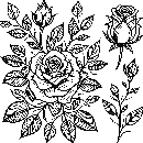 Blumen-Rosen-Malvorlage-Rose-Ausmalbild-Windows-Color-053.jpg
