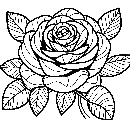 Blumen-Rosen-Malvorlage-Rose-Ausmalbild-Windows-Color-056.jpg