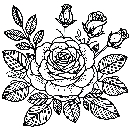 Blumen-Rosen-Malvorlage-Rose-Ausmalbild-Windows-Color-069.jpg