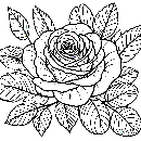 Blumen-Rosen-Malvorlage-Rose-Ausmalbild-Windows-Color-103.jpg