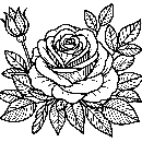 Blumen-Rosen-Malvorlage-Rose-Ausmalbild-Windows-Color-108.jpg