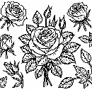 Blumen-Rosen-Malvorlage-Rose-Ausmalbild-Windows-Color-131.jpg