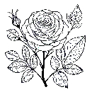 Blumen-Rosen-Malvorlage-Rose-Ausmalbild-Windows-Color-137.jpg