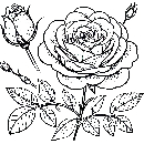 Blumen-Rosen-Malvorlage-Rose-Ausmalbild-Windows-Color-222.jpg