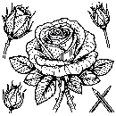 Blumen-Rosen-Malvorlage-Rose-Ausmalbild-Windows-Color-237.jpg