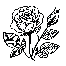 Blumen-Rosen-Malvorlage-Rose-Ausmalbild-Windows-Color-309.jpg
