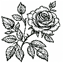 Blumen-Rosen-Malvorlage-Rose-Ausmalbild-Windows-Color-313.jpg