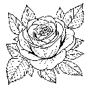 Blumen-Rosen-Malvorlage-Rose-Ausmalbild-Windows-Color-423.jpg