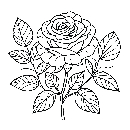 Blumen-Rosen-Malvorlage-Rose-Ausmalbild-Windows-Color-457.jpg