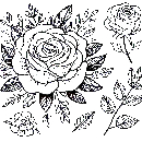 Blumen-Rosen-Malvorlage-Rose-Ausmalbild-Windows-Color-533.jpg