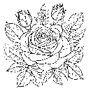 Blumen-Rosen-Malvorlage-Rose-Ausmalbild-Windows-Color-609.jpg