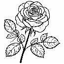 Blumen-Rosen-Malvorlage-Rose-Ausmalbild-Windows-Color-789.jpg