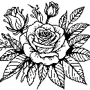 Blumen-Rosen-Malvorlage-Rose-Ausmalbild-Windows-Color-822.jpg
