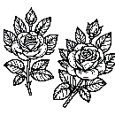 Blumen-Rosen-Malvorlage-Rose-Ausmalbild-Windows-Color-891.jpg