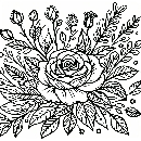 Blumen-Rosen-Malvorlage-Rose-Ausmalbild-Windows-Color-901.jpg