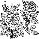 Blumen-Rosen-Malvorlage-Rose-Ausmalbild-Windows-Color-933.jpg