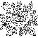 Blumen-Rosen-Malvorlage-Rose-Ausmalbild-Windows-Color-986.jpg