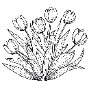 Blumen-Tulpe-Malvorlage-Tulpen-Ausmalbild-Windows-Color-035.jpg