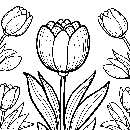 Blumen-Tulpe-Malvorlage-Tulpen-Ausmalbild-Windows-Color-071.jpg