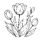 Blumen-Tulpe-Malvorlage-Tulpen-Ausmalbild-Windows-Color-073.jpg