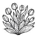 Blumen-Tulpe-Malvorlage-Tulpen-Ausmalbild-Windows-Color-079.jpg