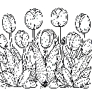 Blumen-Tulpe-Malvorlage-Tulpen-Ausmalbild-Windows-Color-085.jpg