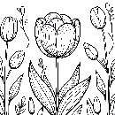 Blumen-Tulpe-Malvorlage-Tulpen-Ausmalbild-Windows-Color-092.jpg