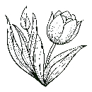 Blumen-Tulpe-Malvorlage-Tulpen-Ausmalbild-Windows-Color-119.jpg