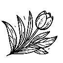 Blumen-Tulpe-Malvorlage-Tulpen-Ausmalbild-Windows-Color-131.jpg