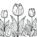 Blumen-Tulpe-Malvorlage-Tulpen-Ausmalbild-Windows-Color-134.jpg