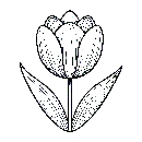 Blumen-Tulpe-Malvorlage-Tulpen-Ausmalbild-Windows-Color-175.jpg