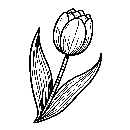 Blumen-Tulpe-Malvorlage-Tulpen-Ausmalbild-Windows-Color-176.jpg