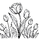 Blumen-Tulpe-Malvorlage-Tulpen-Ausmalbild-Windows-Color-339.jpg