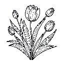 Blumen-Tulpe-Malvorlage-Tulpen-Ausmalbild-Windows-Color-437.jpg