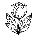 Blumen-Tulpe-Malvorlage-Tulpen-Ausmalbild-Windows-Color-547.jpg