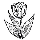 Blumen-Tulpe-Malvorlage-Tulpen-Ausmalbild-Windows-Color-679.jpg
