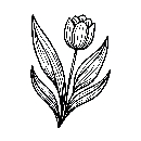 Blumen-Tulpe-Malvorlage-Tulpen-Ausmalbild-Windows-Color-785.jpg