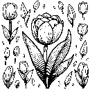Blumen-Tulpe-Malvorlage-Tulpen-Ausmalbild-Windows-Color-791.jpg