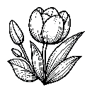 Ausmalbilder Malvorlagen Blumen Tulpen Windows Color Vorlagen