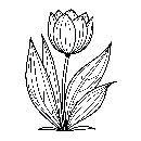 Blumen-Tulpe-Malvorlage-Tulpen-Ausmalbild-Windows-Color-802.jpg