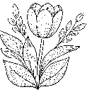 Blumen-Tulpe-Malvorlage-Tulpen-Ausmalbild-Windows-Color-864.jpg