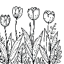 Blumen-Tulpe-Malvorlage-Tulpen-Ausmalbild-Windows-Color-885.jpg