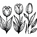 Blumen-Tulpe-Malvorlage-Tulpen-Ausmalbild-Windows-Color-983.jpg
