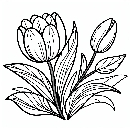 Tulpe-Ausmalbild-Malvorlage-Windows-Color-361.jpg