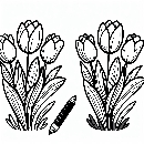 Tulpe-Ausmalbild-Malvorlage-Windows-Color-534.jpg