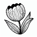 Tulpe-Ausmalbild-Malvorlage-Windows-Color-769.jpg